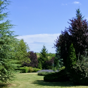 paysagiste Ribérac - entretien jardin