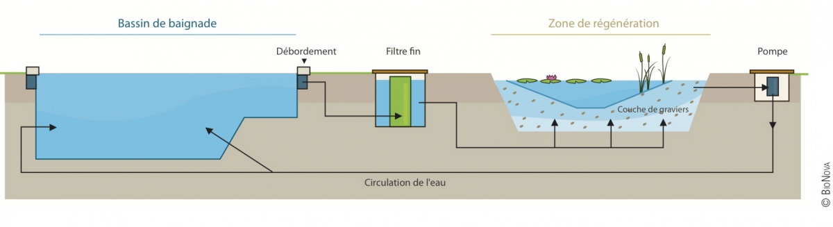 Piscine naturelle Dordogne