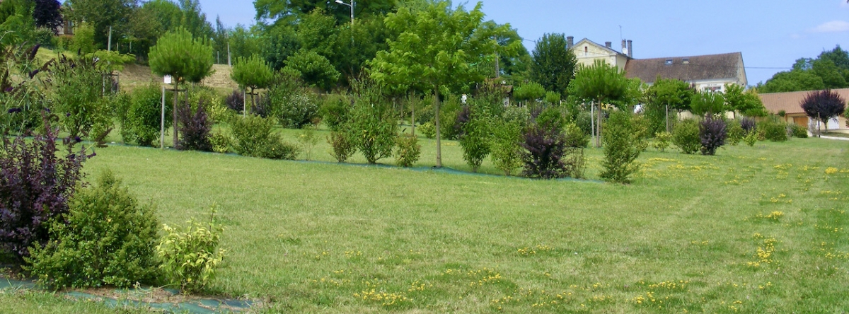paysagiste Dordogne - paysagiste Ribérac