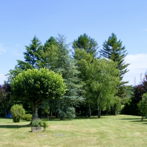 paysagiste dordogne - entretien parc arboré