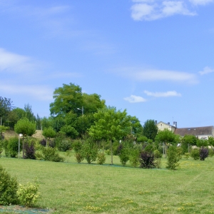 paysagiste_riberac_dordogne.jpg