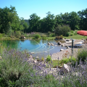 Piscine naturelle Dordogne